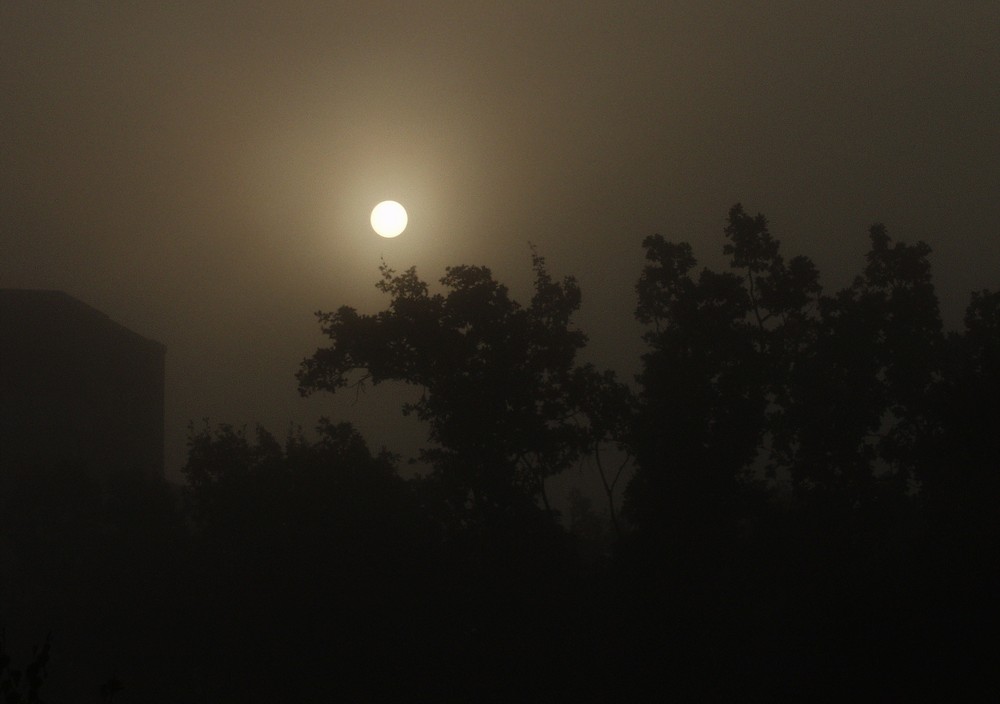 Sonnenaufgang bei Herbstnebel...