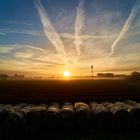 Sonnenaufgang bei Karlsdorf 