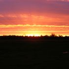 Sonnenaufgang bei Kiel