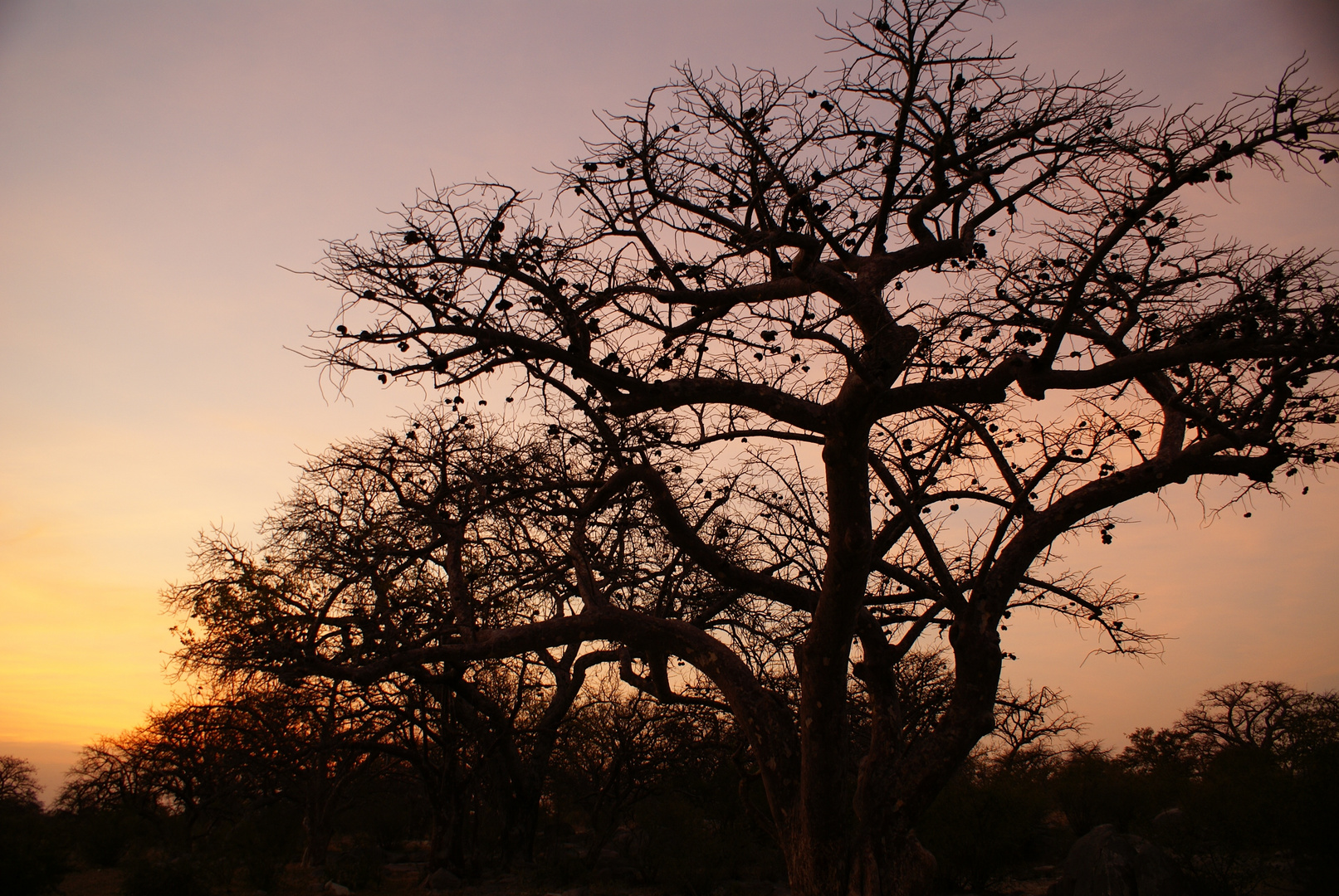 Sonnenaufgang bei Kubu Island Botswana