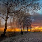 Sonnenaufgang bei Liebenburg