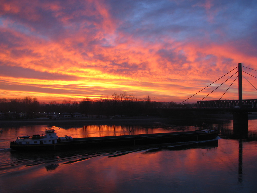 Sonnenaufgang bei Maxau