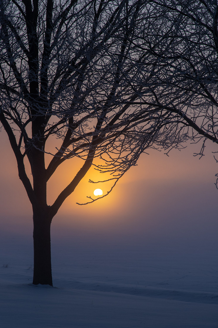 Sonnenaufgang bei minus 23 Grad