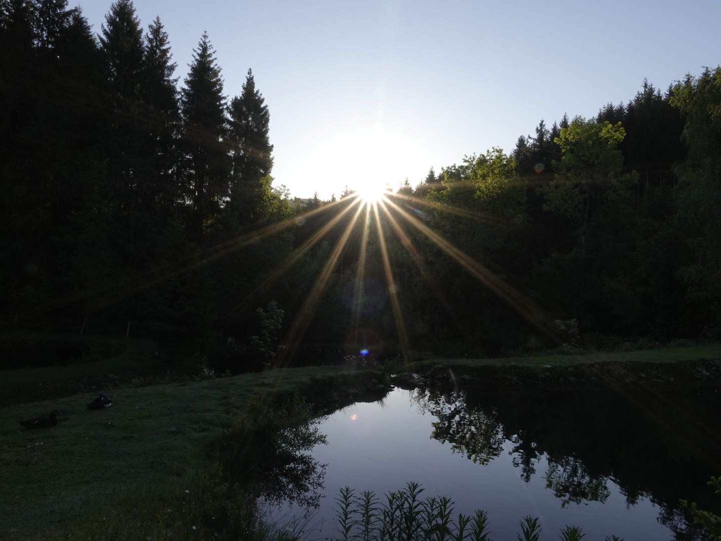 Sonnenaufgang bei mir Zuhause