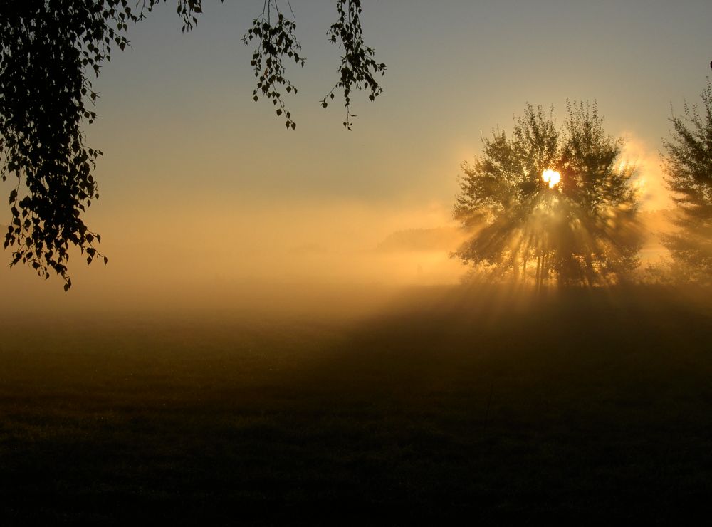 Sonnenaufgang bei Morgennebel 2