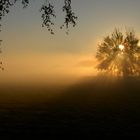 Sonnenaufgang bei Morgennebel 2