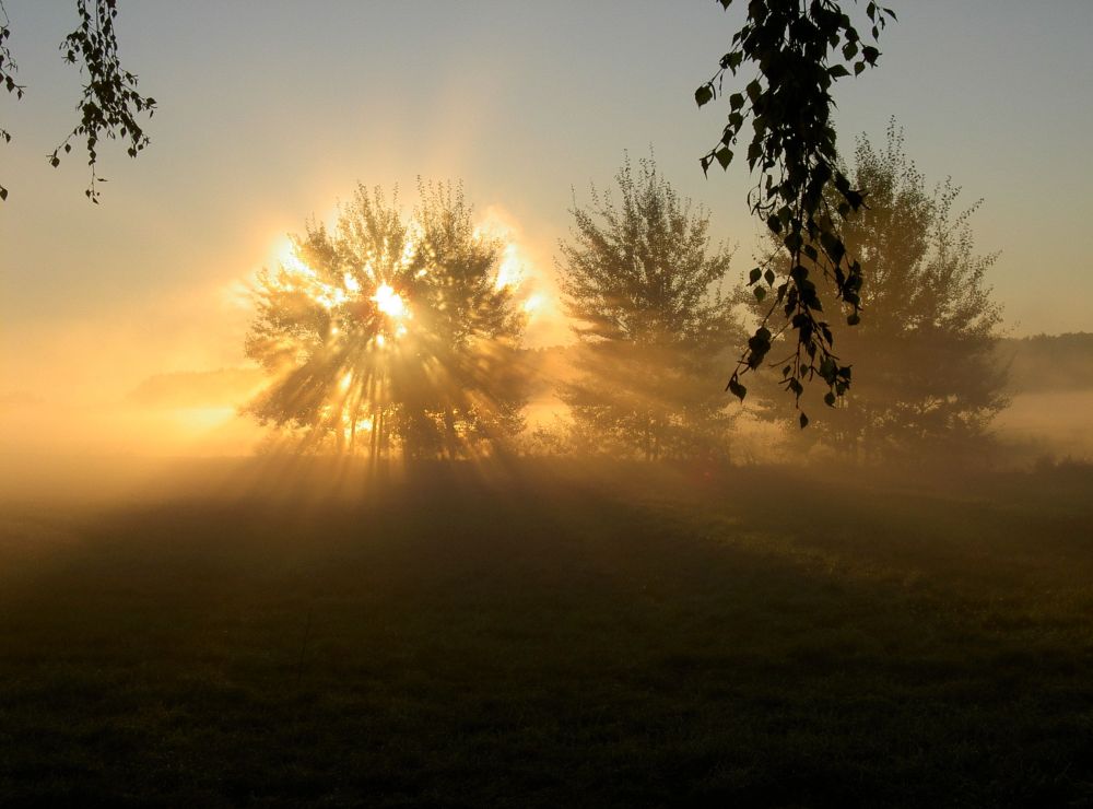 Sonnenaufgang bei Morgennebel