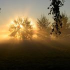 Sonnenaufgang bei Morgennebel