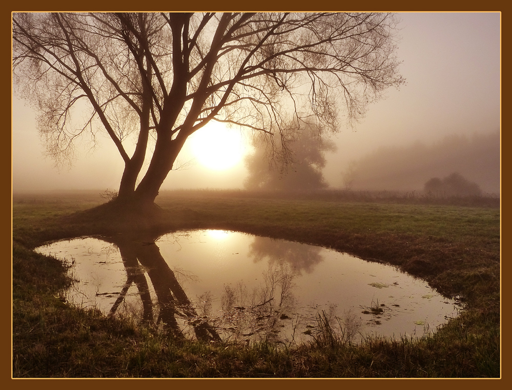 Sonnenaufgang bei Nebel.