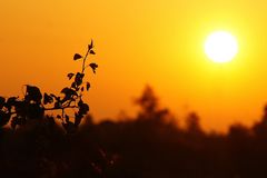 Sonnenaufgang bei Nebel