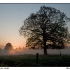 Sonnenaufgang bei Nebel