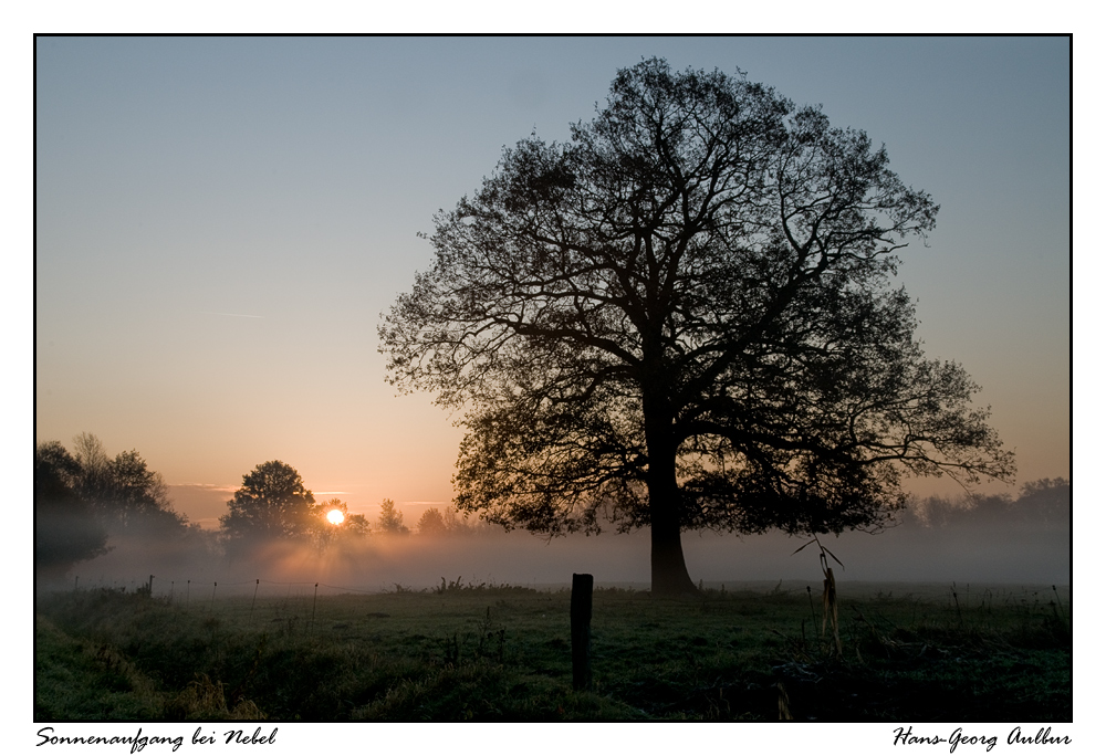 Sonnenaufgang bei Nebel