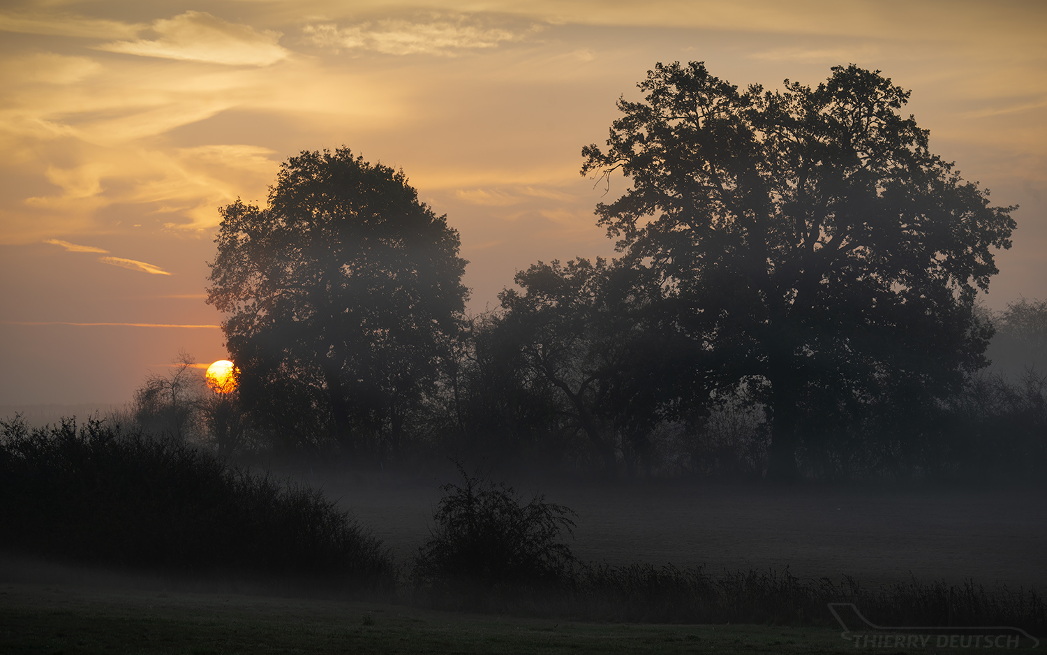 Sonnenaufgang bei Nebel