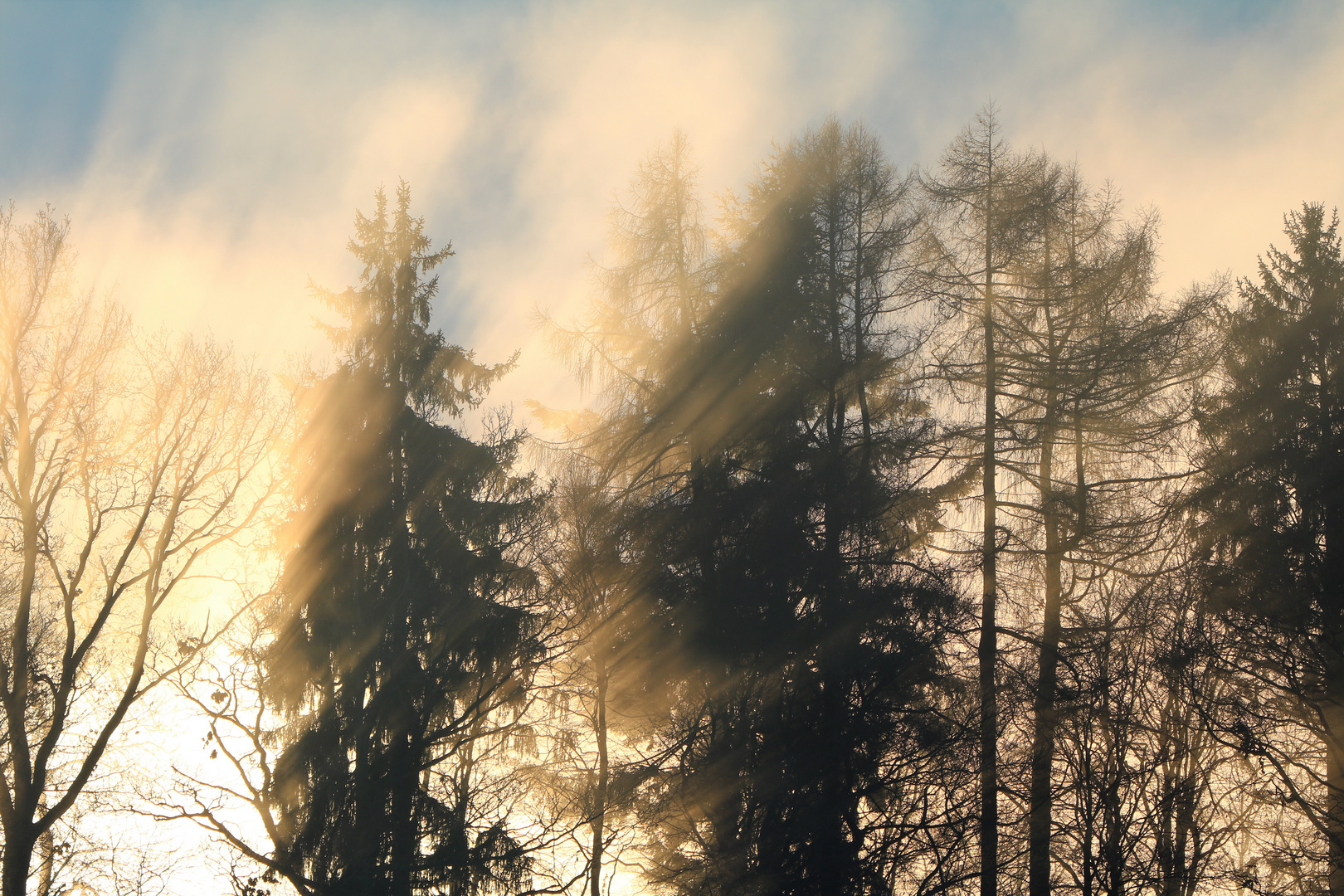 Sonnenaufgang bei Nebel