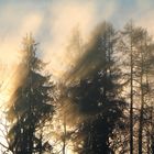 Sonnenaufgang bei Nebel