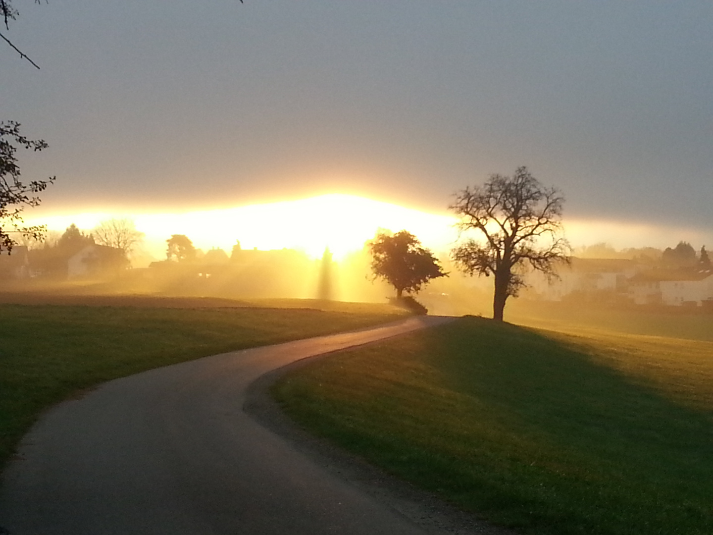 Sonnenaufgang bei Nebel