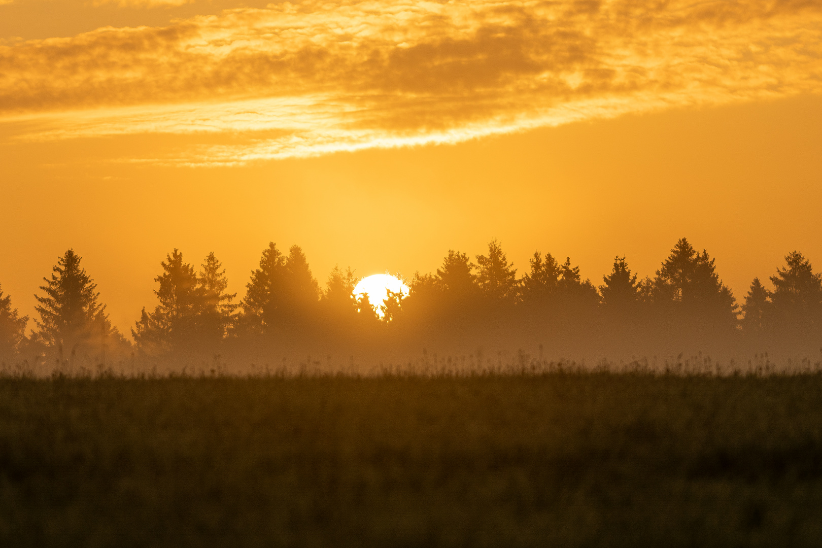 Sonnenaufgang bei Nebel