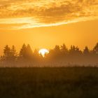 Sonnenaufgang bei Nebel