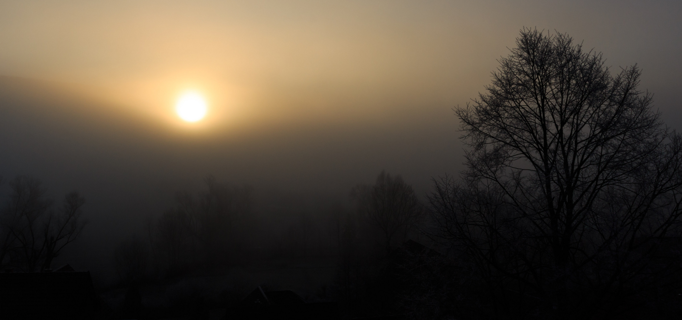 Sonnenaufgang bei Nebel