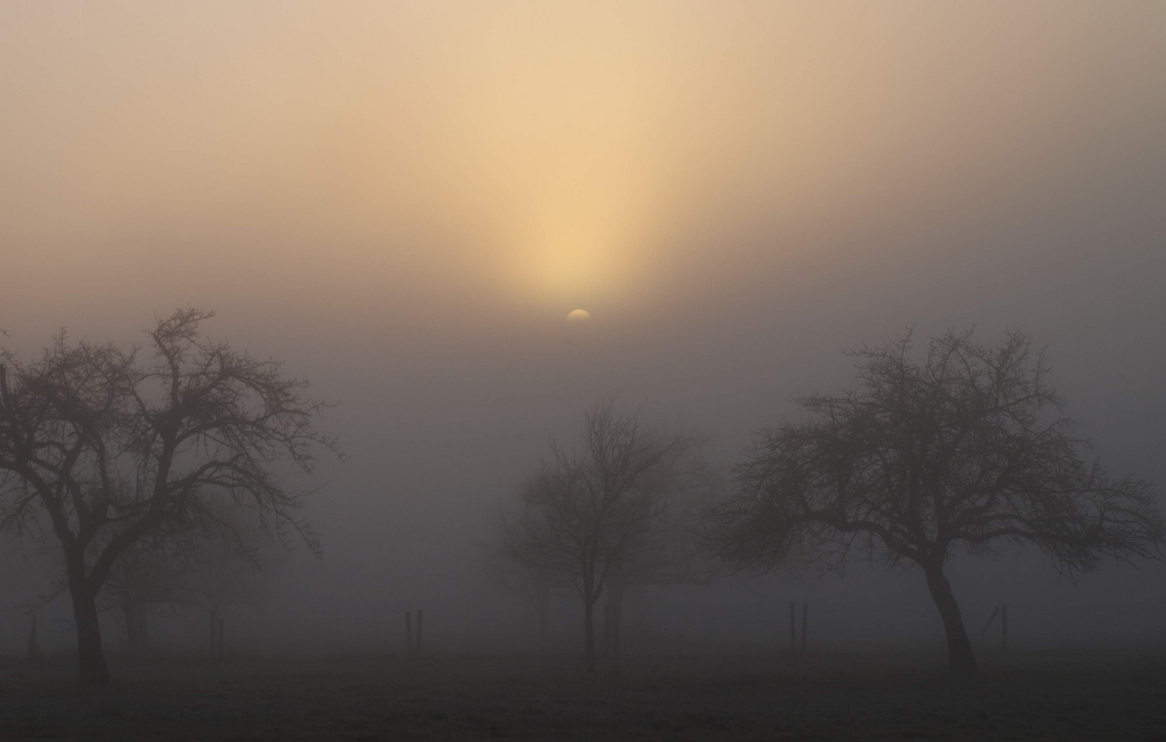 Sonnenaufgang bei Nebel