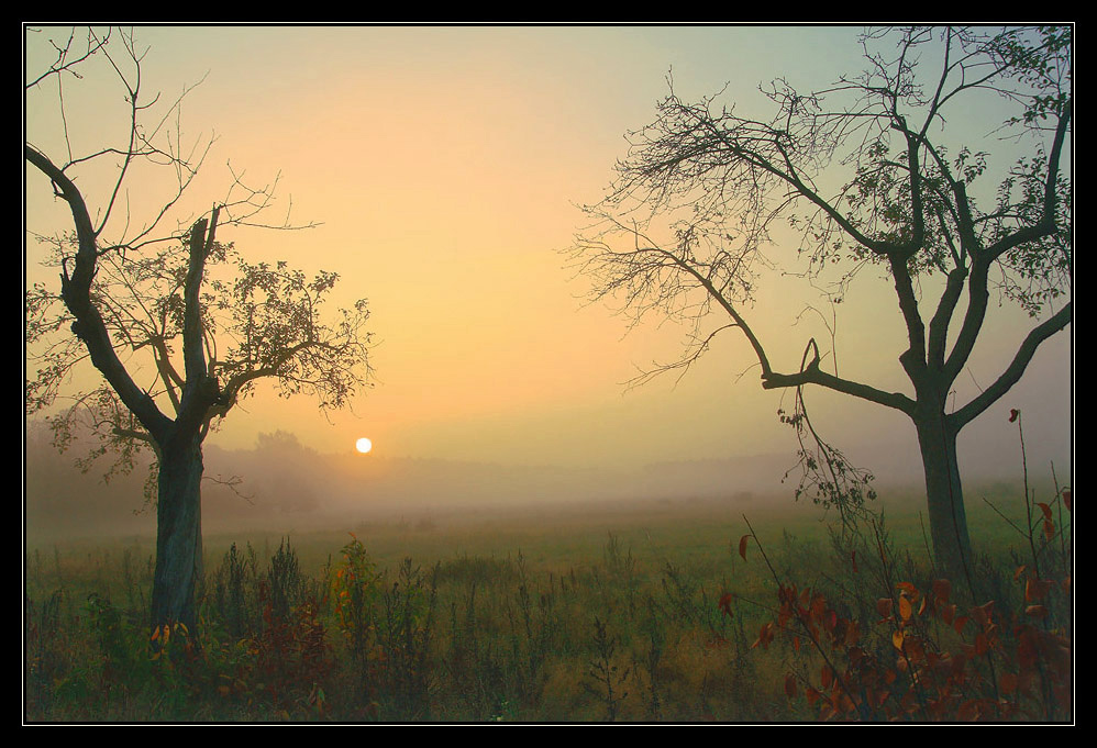 Sonnenaufgang bei Nebel