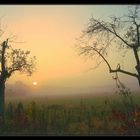 Sonnenaufgang bei Nebel