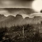 Sonnenaufgang bei Nimbin