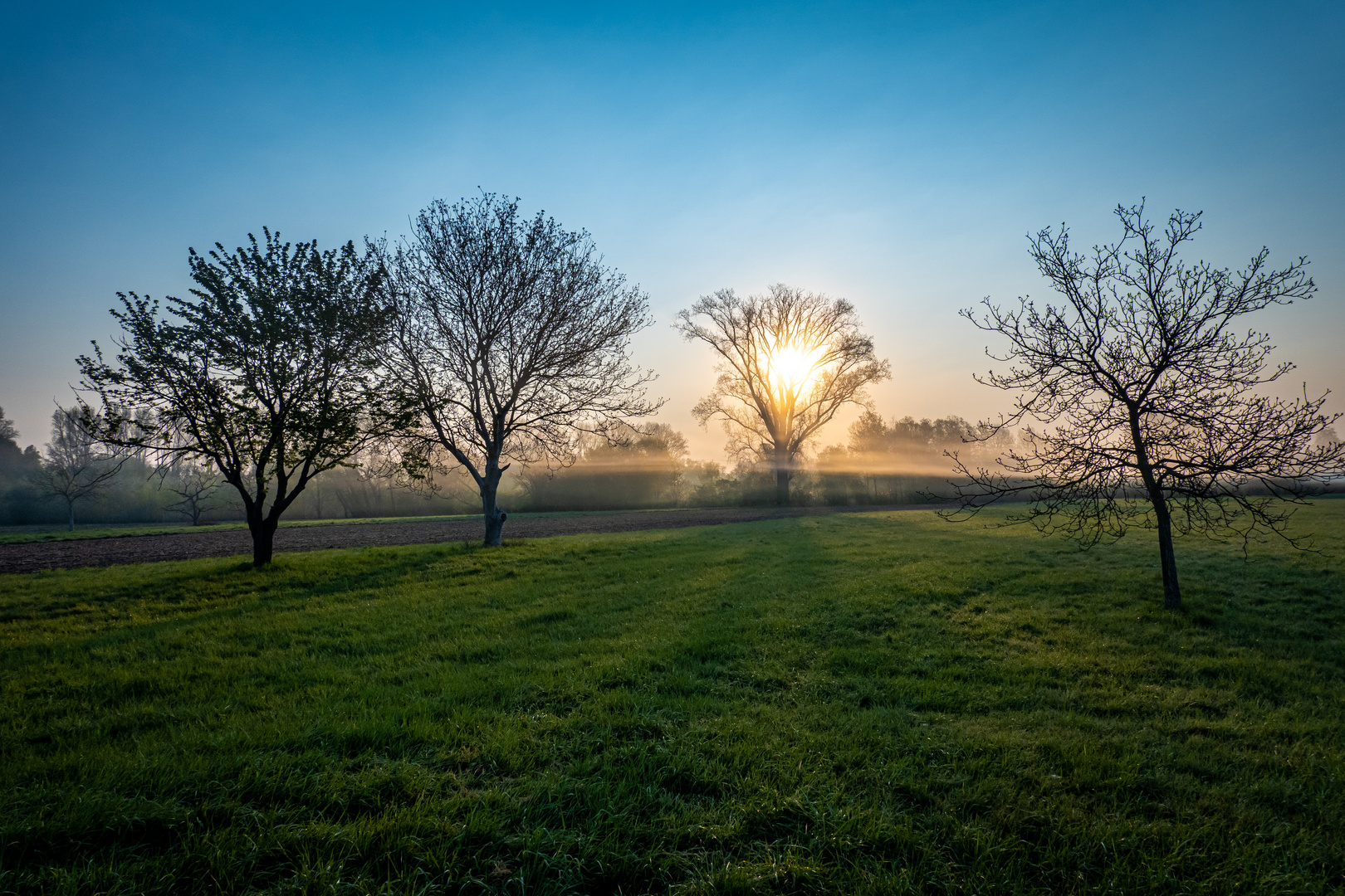 Sonnenaufgang bei Oberhausen-Rheinhausen