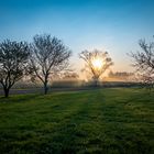 Sonnenaufgang bei Oberhausen-Rheinhausen