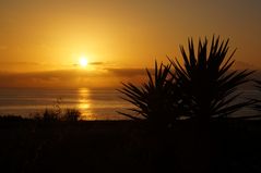 Sonnenaufgang bei Porto Colom - Mallorca