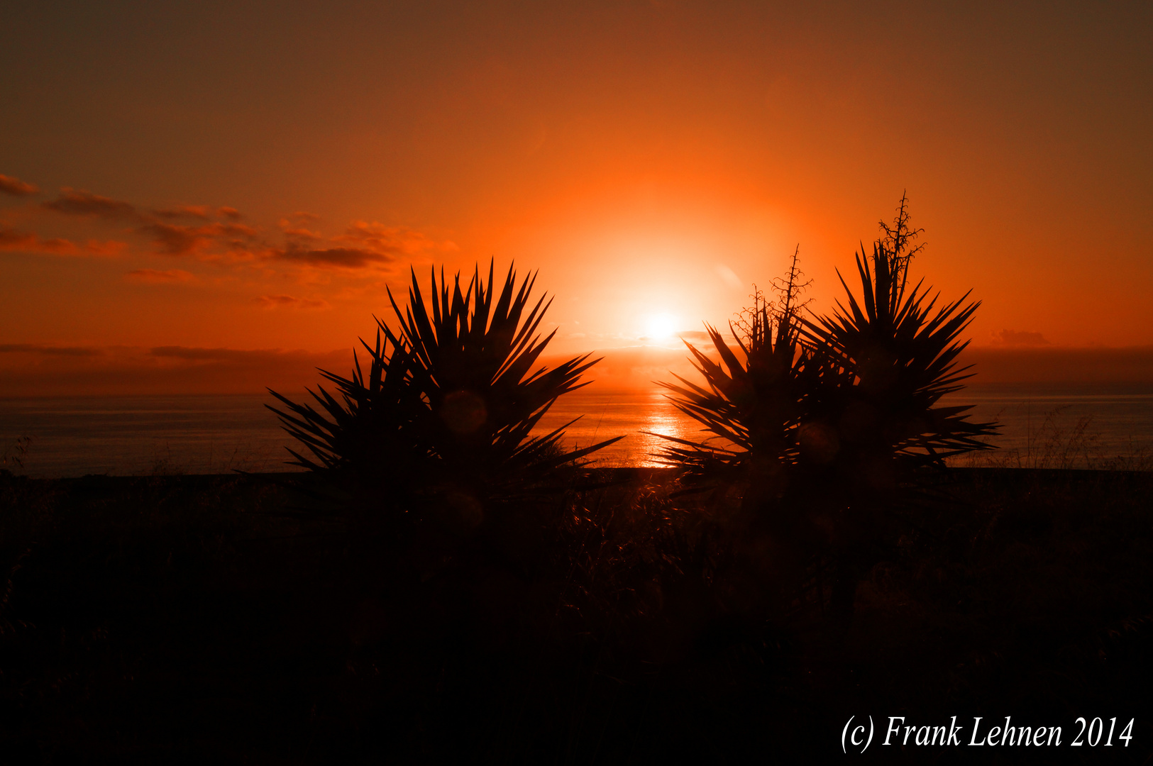 Sonnenaufgang bei Portocolom - Mallorca