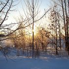 Sonnenaufgang bei Schnee