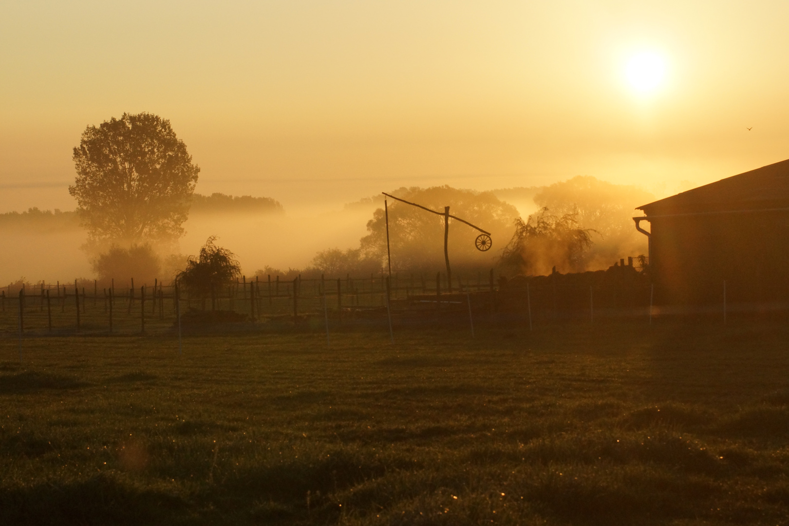 Sonnenaufgang bei Sopron, Ungarn