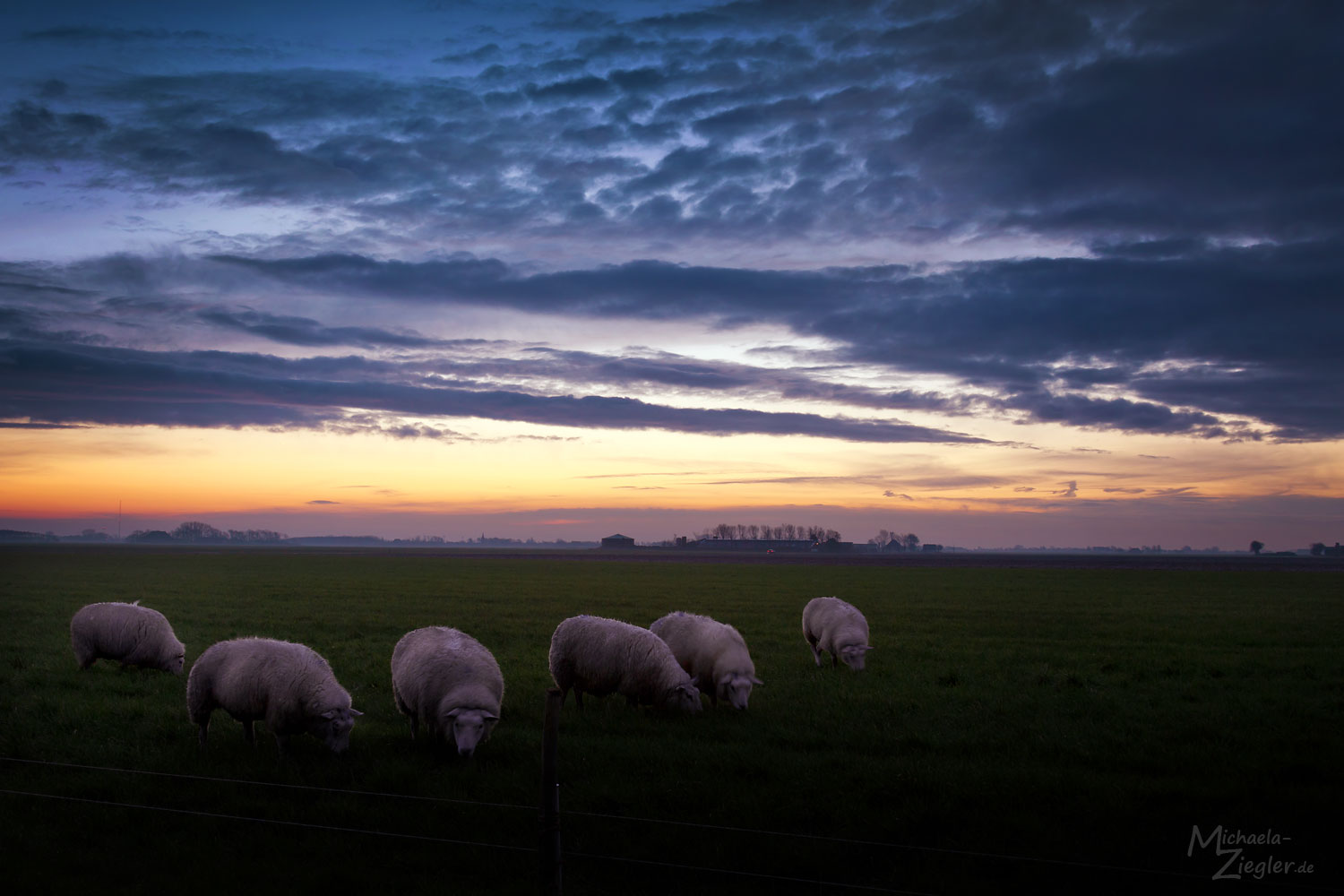 Sonnenaufgang bei Tzummarum