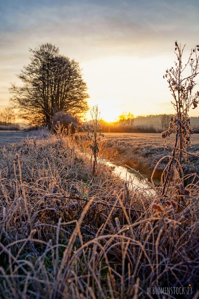 Sonnenaufgang bei Unterspeltach