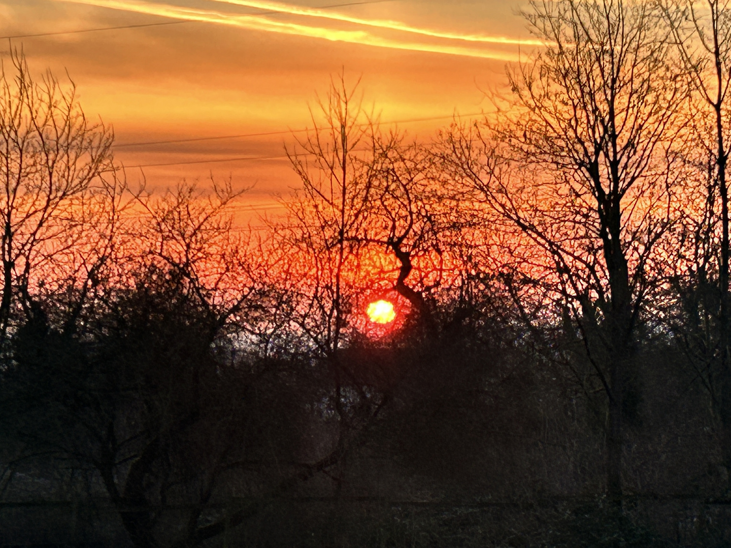 Sonnenaufgang bei Walluf in Rheingau