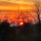 Sonnenaufgang bei Walluf in Rheingau