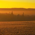 Sonnenaufgang bei Wattenheim / Pfalz