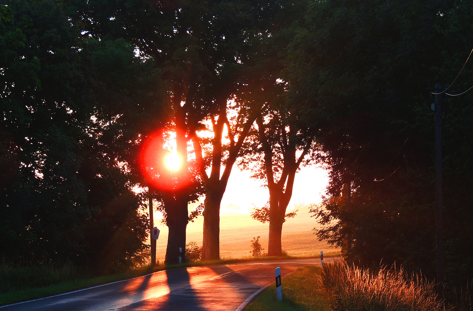 Sonnenaufgang bei Weddersleben