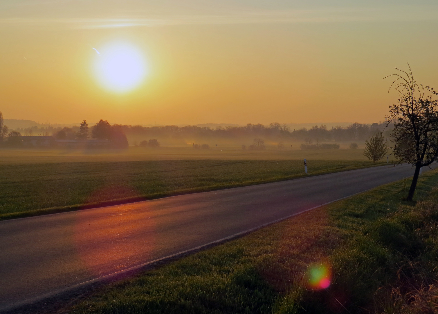 Sonnenaufgang bei Weimar