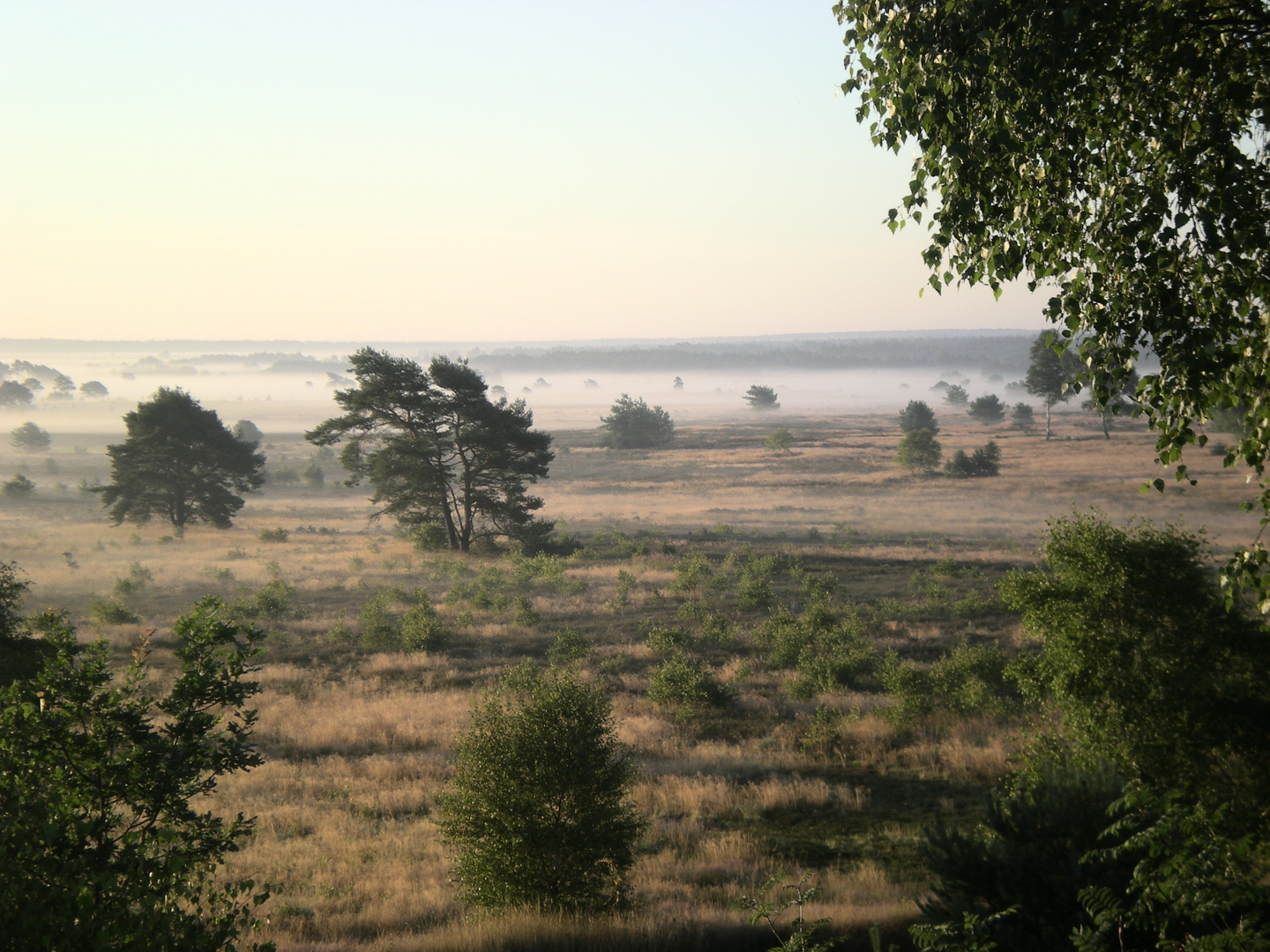 Sonnenaufgang bei Wietzendorf