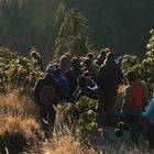 Sonnenaufgang beim Abstieg vom Poon Hill