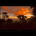 Sonnenaufgang beim Adamspeak