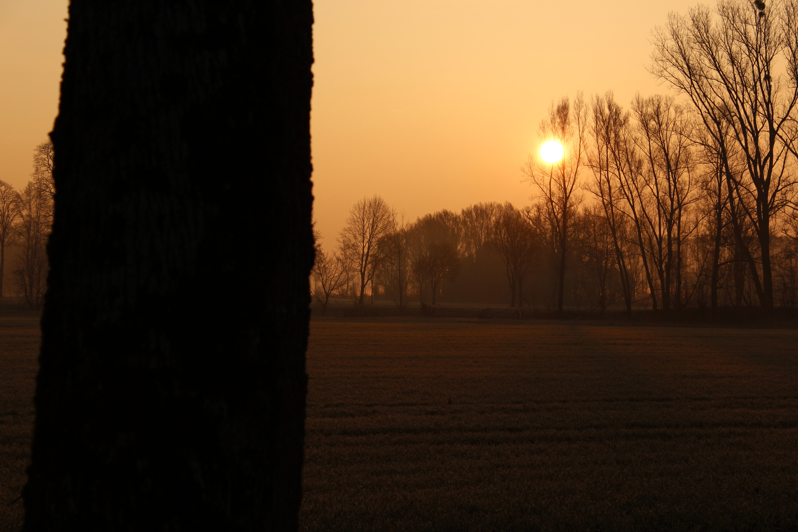 Sonnenaufgang beim Jagdschloss