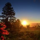 Sonnenaufgang beim Vulkan Turrialba