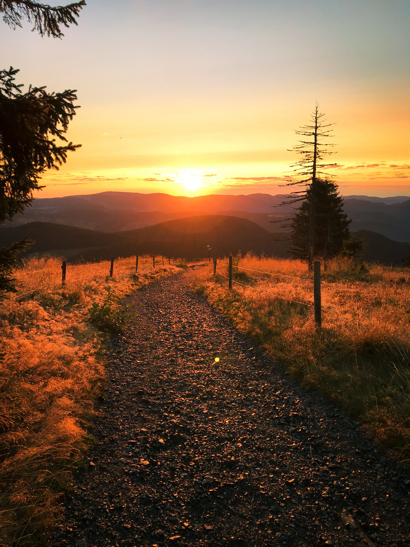 Sonnenaufgang Belchen