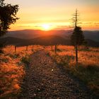 Sonnenaufgang Belchen