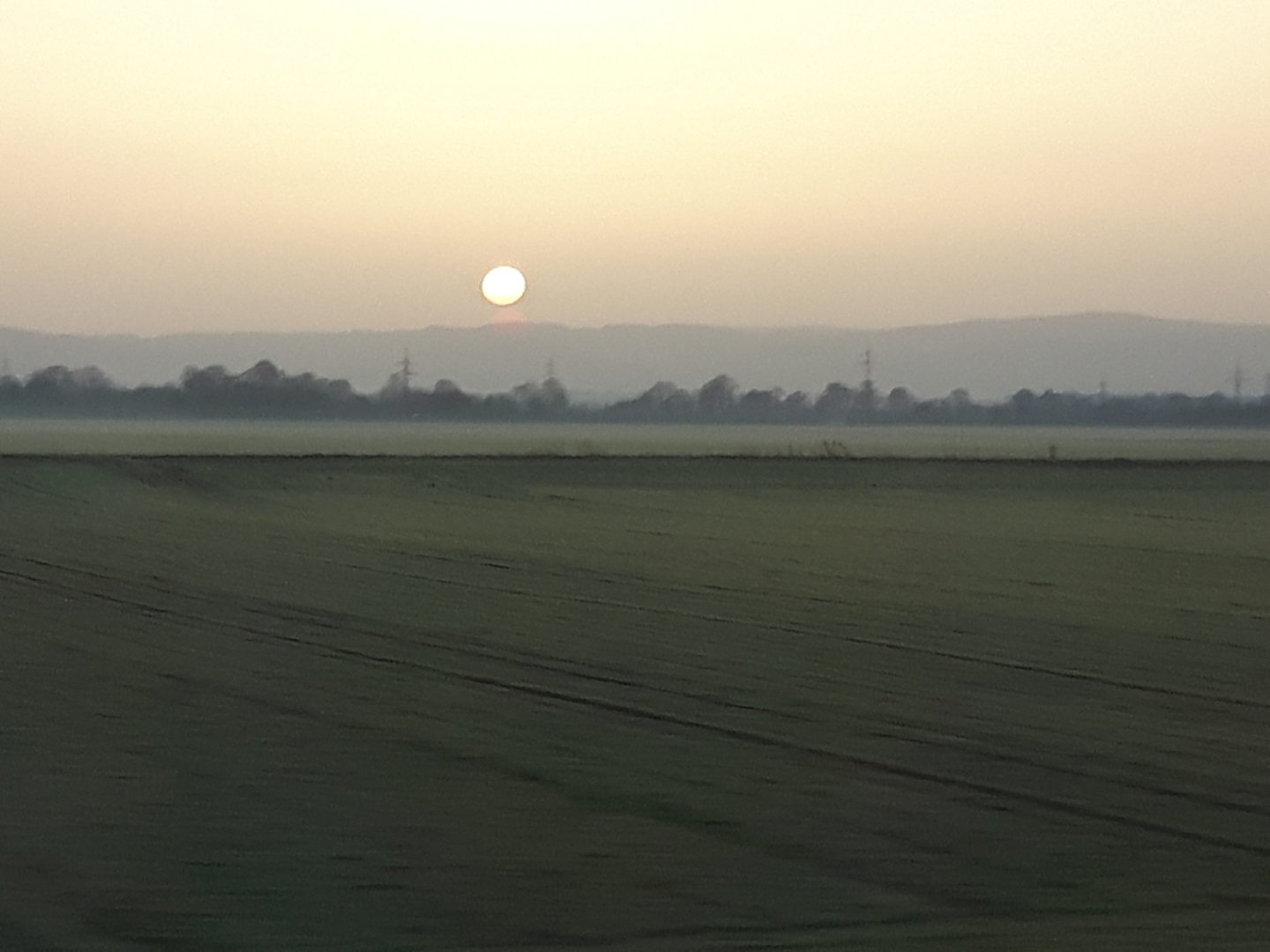 Sonnenaufgang Bergstrasse vom Zug aus_20210224 (1)