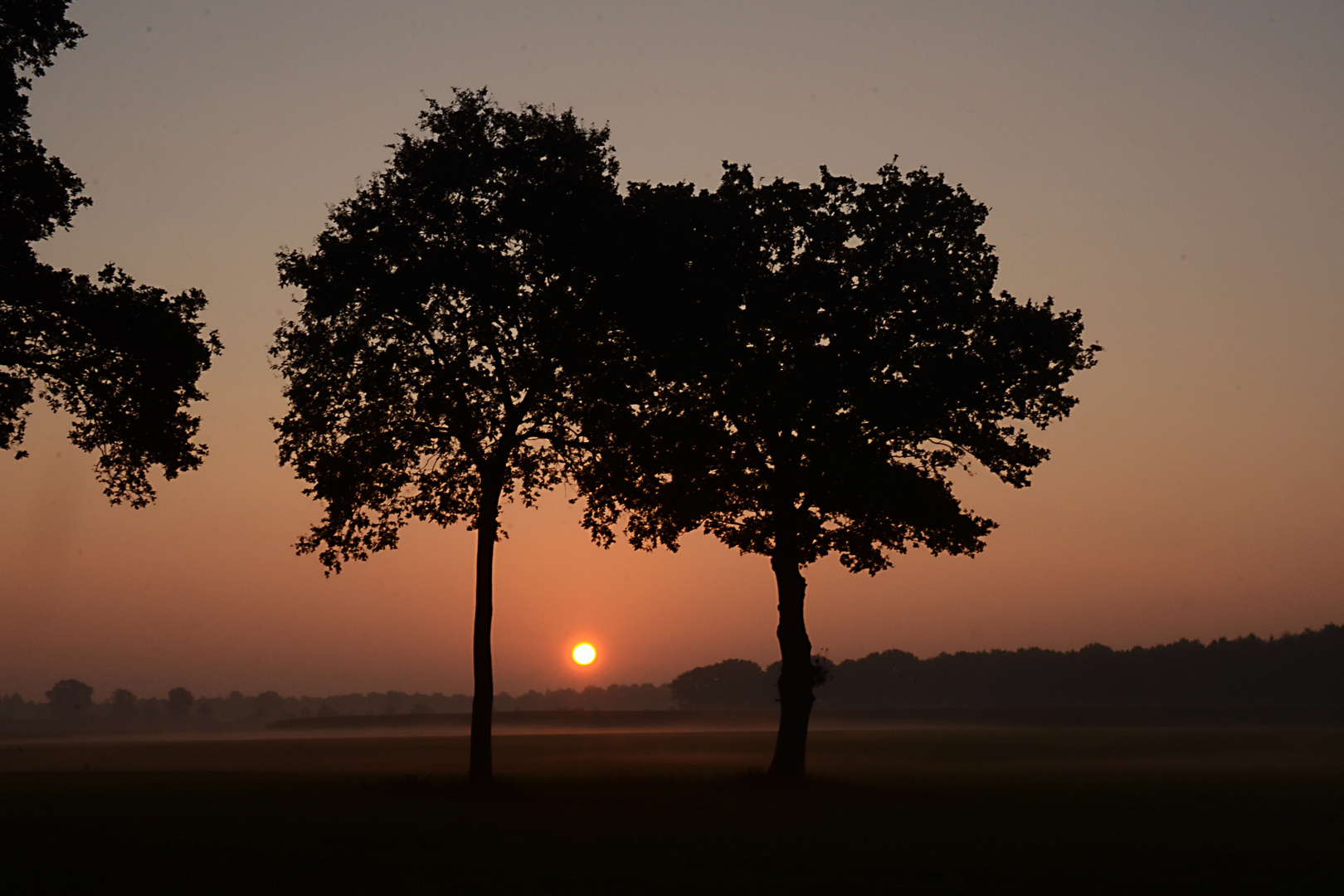 Sonnenaufgang Bild 2