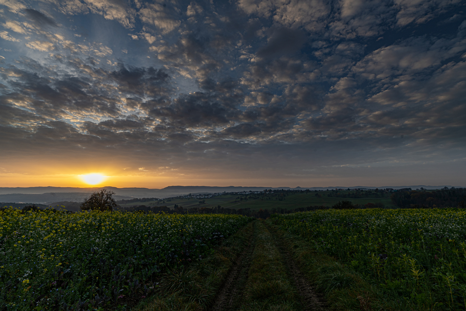 Sonnenaufgang: Blick von Schlaitdorf 